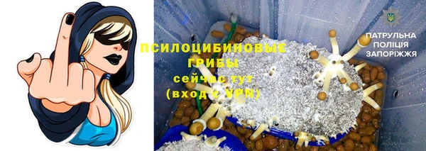 COCAINE Майский
