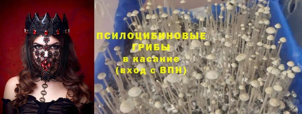 прущая мука Магас